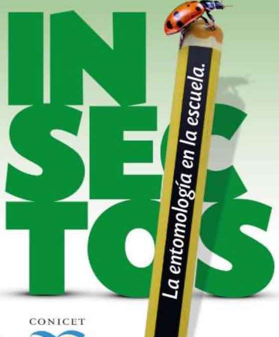 Insectos: La entomología en la escuela