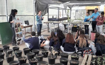 Charlamos sobre hormigas con los chicos de la Escuela Estación Limay, de Cipolletti