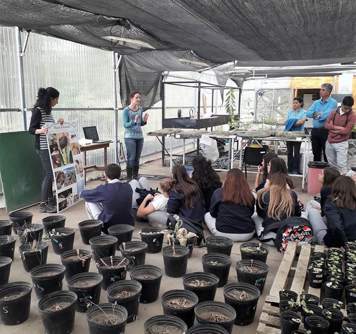 Charlamos sobre hormigas con los chicos de la Escuela Estación Limay, de Cipolletti