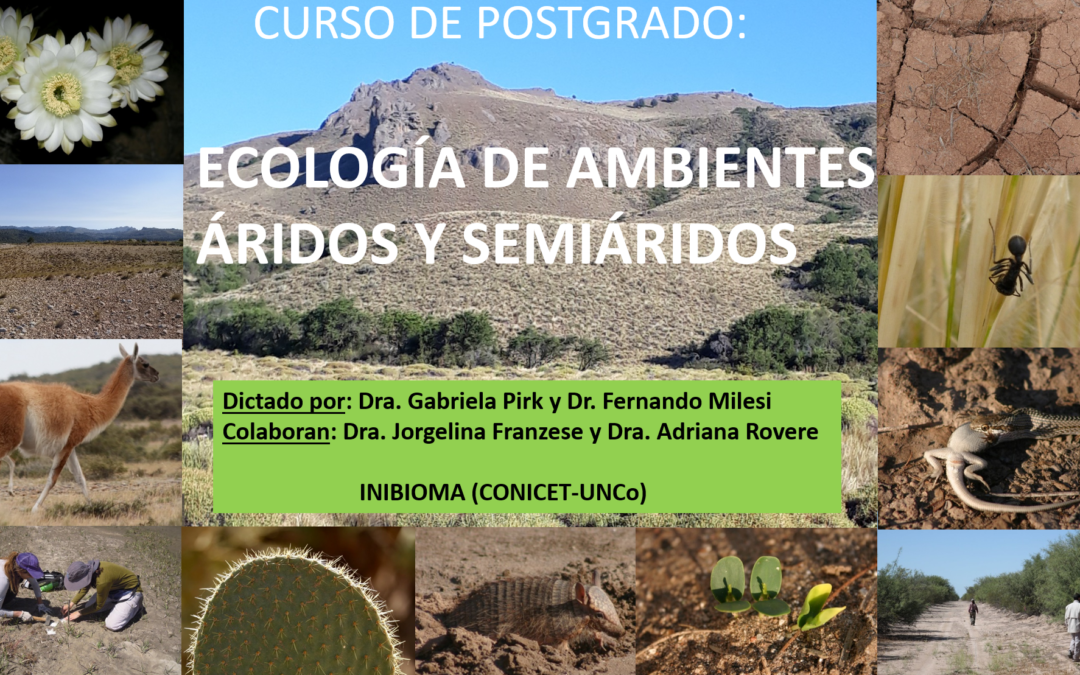 Curso de postgrado